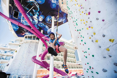 Rock Climbing Wall